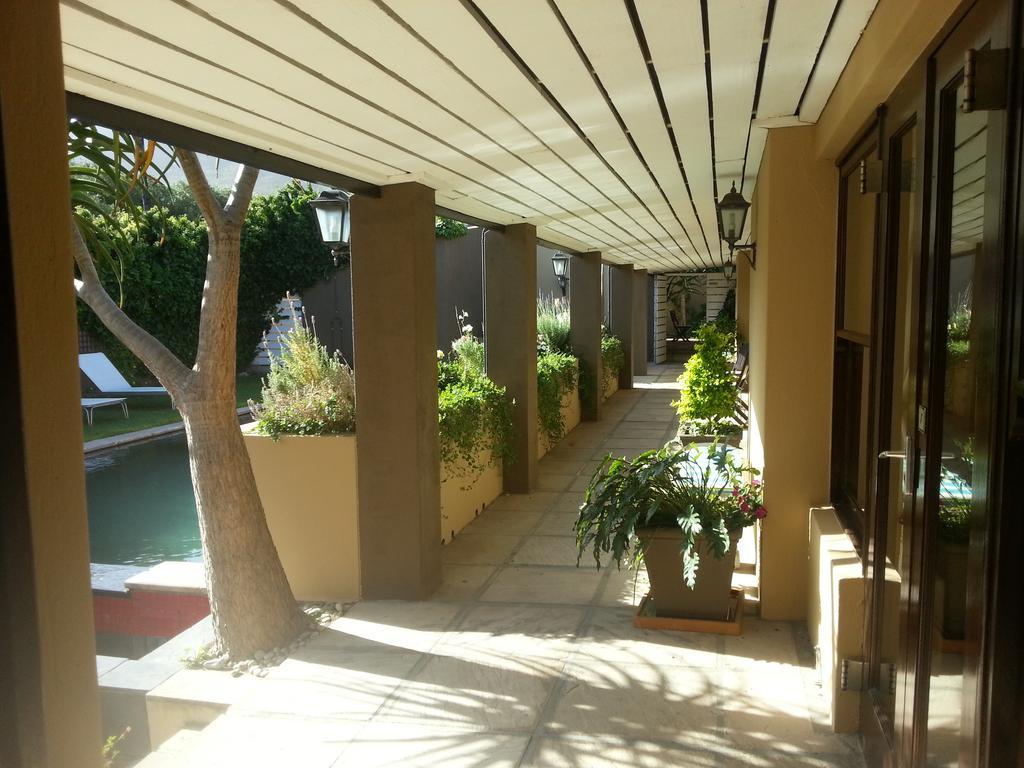 Aloe Guest House Hermanus Εξωτερικό φωτογραφία